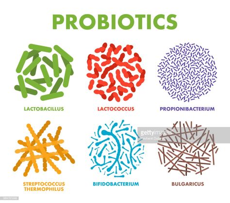 Vector Art : Probiotics. Good bacteria and microorganisms for human health. Microscopic probiotics, good bacterial flora What Are Probiotics, Mold Illness, Probiotic Yogurt, Probiotic Benefits, Beta Glucan, Gut Microbiota, Probiotic Foods, Healthy Bacteria, Natural Healing Remedies