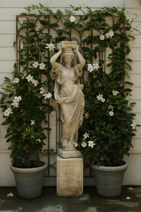 Backyard Statues, Goddess Garden, Garden Goddess, Statue Decor, Greek Statues, Formal Gardens, Garden Statue, Privacy Fence, Courtyard Garden