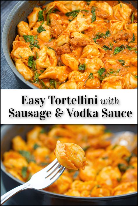 Tortellini With Vodka Sauce And Sausage, Cheese Tortellini With Vodka Sauce, Vodka Sauce Tortellini, Bertolli Vodka Sauce Recipes, Tortellini Recipes With Sausage, Recipes With Vodka Sauce, Vodka Sauce And Sausage, Tortellini With Vodka Sauce, Sausage And Tortellini Recipes