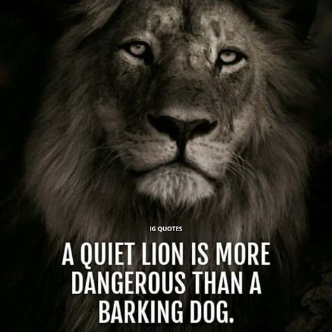 IG QUOTES | A quiet lion is more dangerous than a barking dog. . . . Follow (@igquotes51 ) more. | Instagram Dangerous Quotes, Ig Quotes, Viking Quotes, Leo Quotes, Lion Quotes, Barking Dog, King Quotes, Seuss Quotes, Powerful Bible Verses