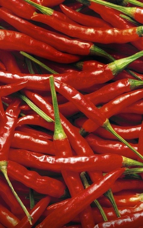 Chili Peppers Decor, Official Wallpaper, Popular Wallpapers, Food Png, Red Chili Peppers, Food Wallpaper, Hottest Chili Pepper, Chilli Pepper, Trending Pins