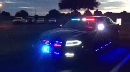 Siren Gif, Discord Videos, Fbi Car, Cars Gif, Police Car Lights, Car Gif, Neon Car, Police Siren, Banners For Discord