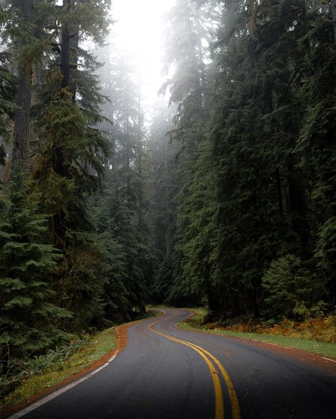 Moody season in the PNW.. 🌲 For those of you that don’t know I grew up in Washington State, and growing up here I always took the natural beauty of Washington for granted. It wasn’t until I started traveling and seeing more places that I started to appreciate PNW more. #pnw #moody #cinematic #sonyalpha #sony Washington State Forest Aesthetic, Washington State Living, Washington Beach Aesthetic, Forks Washington Houses, Pnw Coast Aesthetic, Travel Washington State, Washington State Aesthetic, Pnw House, Pacific Northwest Aesthetic