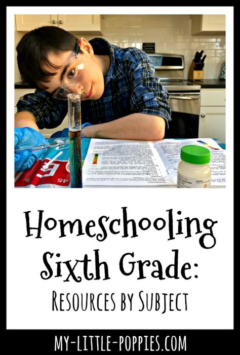 Homeschool 6th Grade, Homeschool Middle School Curriculum, 6th Grade Homeschool, Math Picture Books, Homeschooling Middle School, 6th Grade Writing, Middle School Curriculum, Teaching 6th Grade, Middle School Literacy