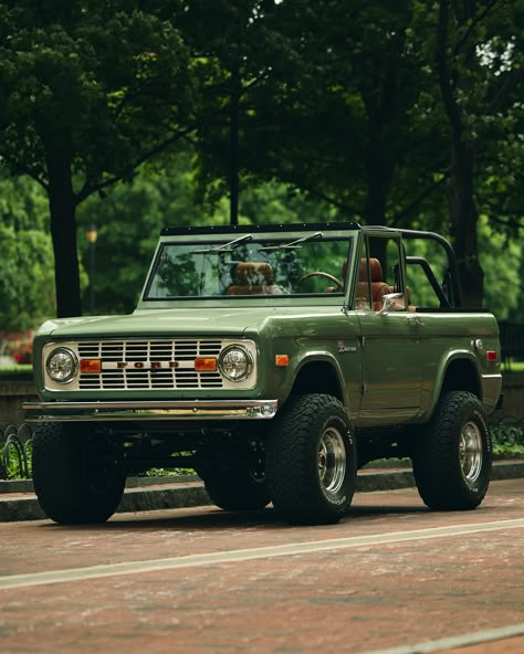 Boxwood Green over Whiskey with Wimbledon White accessories and chrome wheels, oh my 90s Earthy Aesthetic, 2000s Moodboard, Academia Green, Old Ford Bronco, Aesthetic Earth, Girlblogger Aesthetic, Bronco Car, Green Academia, Classic Bronco