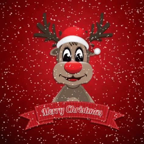 Merry Christmas Reindeer GIF - MerryChristmas Reindeer - Discover & Share GIFs Christmas Animated Gif, Animated Christmas Pictures, Merry Christmas Animation, Christmas Wallpaper Ideas, Christmas Animation, Image Halloween, Merry Christmas Gif, Merry Christmas Quotes, Merry Christmas Wallpaper