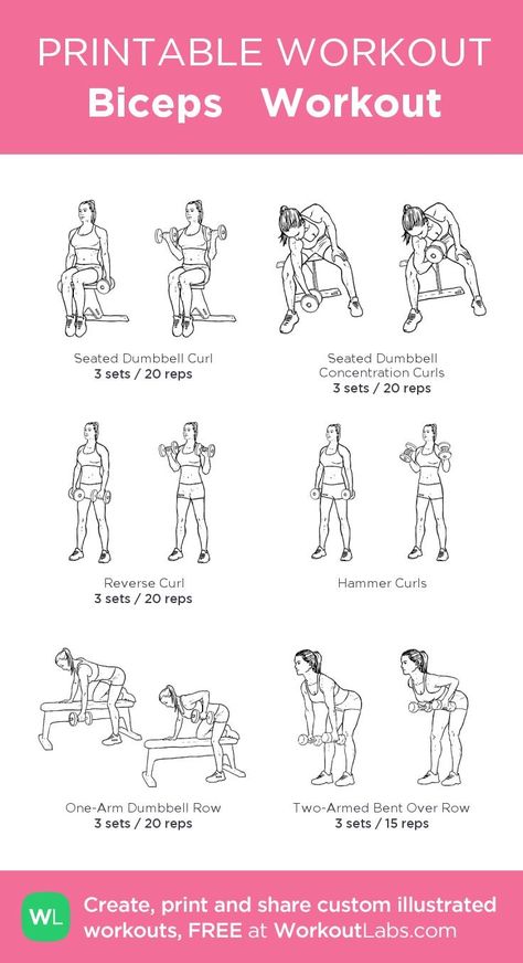 Back And Bicep Workout Dumbell, Biceps Workout For Women, Chest And Bicep Workout, Bicep Workout Women, Bicep Workout Gym, Back And Bicep Workout, Workout Female, Chest Workout Women, Workout Labs