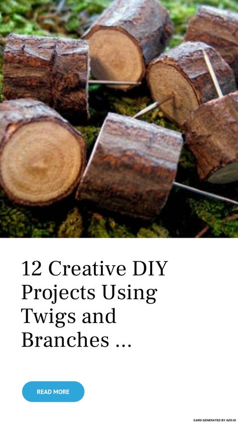 Twig And Branch Projects, Twigs Diy Craft Ideas, Sticks And Twigs Diy Projects, Natural Branch Decor, Wood Branch Crafts, Diy Twigs And Branches Decor, Branch Crafts Diy, Branch Art Diy, Twig Crafts Branches Sticks Diy Ideas