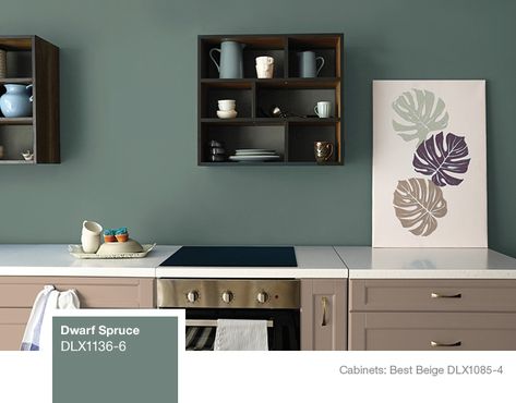 Dulux Kitchen Cabinets Paint Colors, Dulux Kitchen Paint Colour, Kitchen Paint Ideas Walls Colour Schemes, Dulux Kitchen Paint, Dulux Bathroom Paint, Dulux Colour Schemes, Kitchen Paint Colours, Kitchen Paint Color Ideas, Kitchen Color Combos