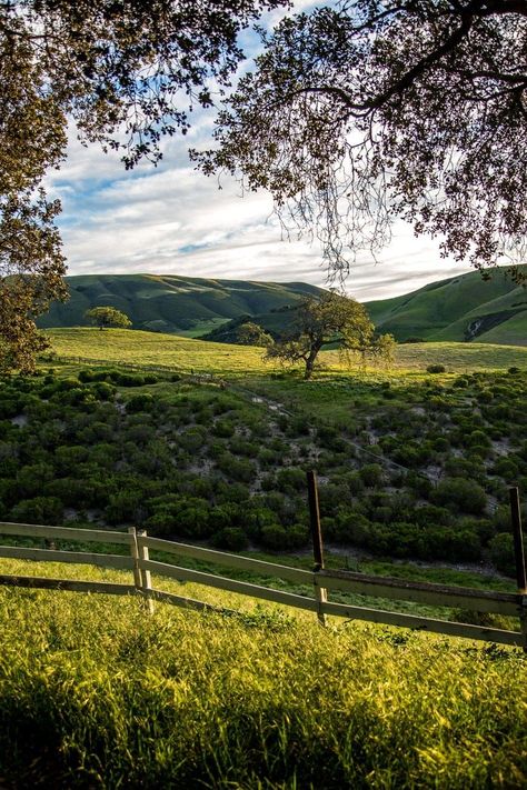 Holman Ranch - This ranch in California looks like a dream! Gorgeous place and the photos are breathtaking! Thank you for pinning. Weeping Willow Wedding, Wedding In Church, Cool Ranch Doritos, Moody Winter Wedding, Willow Wedding, Coastal Cowboy, Napa Valley Wineries, 10 Year Plan, California Ranch