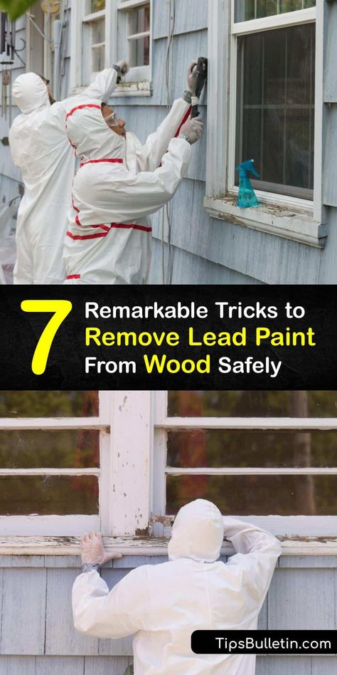 Lead Paint Removal Diy, Paint Scraper, Diy Household Cleaners, Paint Removal, Home Cleaning Hacks, Clean Your House, Lead Paint, Home Cleaning Tips, Leftover Paint