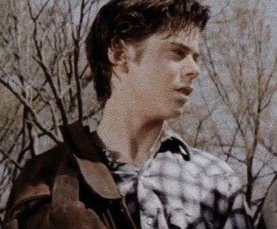 The Outsiders Johnny, The Outsiders Ponyboy, Ralph Macchio The Outsiders, The Outsiders Cast, The Outsiders 1983, Celebrity Singers, Ralph Macchio, Karate Kid, Hottest Guy Ever