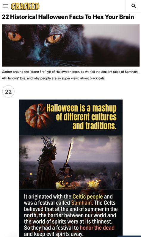 Gather around the “bone fire,” ye of Halloween born, as we tell the ancient tales of Samhain, All Hallows’ Eve, and why people are so super weird about black cats. #halloween #facts #history #samhain #hallowseve Meaning Of Halloween, Halloween Origin, Halloween Facts History, All Hallows Eve, Halloween Meaning, Fall Stem Activities, Origin Of Halloween, Bobbing For Apples, Halloween Facts