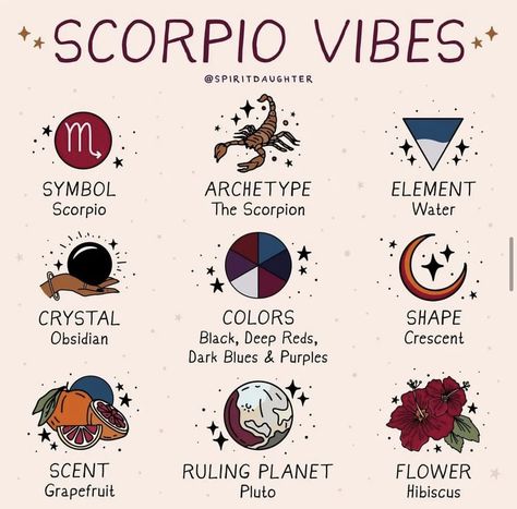 Scorpio As A Person, Scorpio Symbolism, Astrology Watercolor, Zodiac Vibes, Spirit Daughter, Zodiac Quotes Scorpio, Scorpio Art, Astrology Scorpio, Scorpio Girl