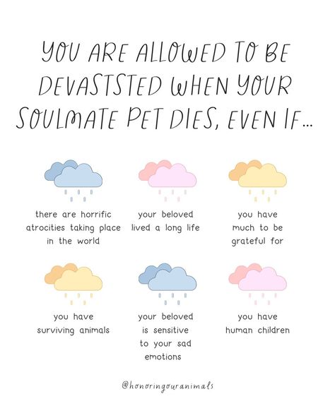 🐾 Have you ever been told that you shouldn’t feel so sad about your pet’s transition because there are worse atrocities in the world? Or that your beloved lived a long life, so be grateful? 💔 These statements, though sometimes well-meaning, are deeply invalidating and insensitive. Your grief is real, and it’s profound. Comparing your pain to other tragedies does nothing to diminish the significance of your loss. 🐶 “You have other animals, be grateful!” While gratitude can be supportive duri... Argument Quotes, Losing A Pet Quotes, Talk To Me Quotes, Feel Your Feelings, Miss My Dog, Their Loss, Big Emotions, Hug Quotes, Speak Your Truth