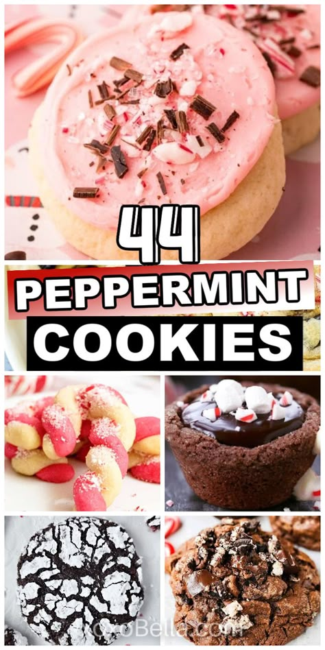 Peppermint cookie recipes Chocolate Peppermint Crumble Cookies, Peppermint Extract Cookies, Peppermint Snowball Cookies, Cookies With Peppermint Chips, Cookies With Peppermint Pieces, Christmas Peppermint Cookies, Peppermint Candy Cookies, Peppermint Chip Cookies, Peppermint Cookies Christmas