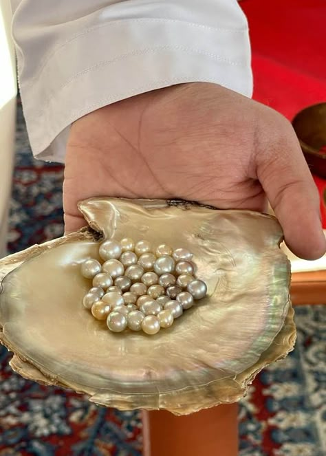 Visit the Suwaidi Pearls Farm in Ras Al Khaimah Ras Al Khaimah Aesthetic, Sea Life Activities, Uae Culture, Pearl Farm, Ras Al Khaimah, Going On Holiday, Interesting Places, Dubai Abu Dhabi, On Holiday