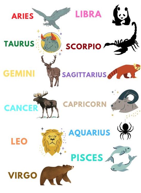 The spirit animals of the zodiac signs! Aquarius Animal Zodiac, Zodiac Sign As Animal, Zodiac Spirit Animals, Aquarius Spirit Animal, Zodiac Sign Animals, Aquarius Animal, Gemini Animal, Zodiac Signs As Animals, Zodiac Signs Art