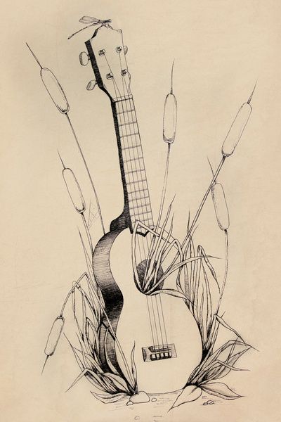 In the wilds Ukulele Art Drawing, Ukulele Sketch, Ukulele Tattoo, Ukulele Drawing, Vintage Ukulele, Ukulele Art, Calligraphy Drawing, Pencil Sketch Drawing, Guitar Tattoo