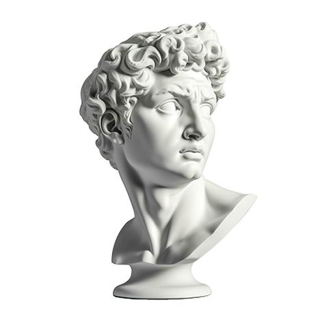 Gypsum statue of David's head. Michelangelo's David statue plaster copy isolated on white background. Ancient greek sculpture, statue of hero, generate ai Head Statue Greek, Statue Of David Drawing, Greek Head Sculpture, David Head Sculpture, Greek Statues Aesthetic, Greece Statue, Statue Face, Greek Sculptures, Michelangelo David