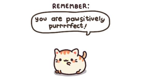 Hello Kitty Motivational Quotes, Sanrio Motivational Quotes, Side Sketch, Motivational Quotes Cute Animals, Cat Motivational Quotes, Kawaii Quotes, Inspirational Animal Quotes, Motivational Cat Posters, Emoji Characters