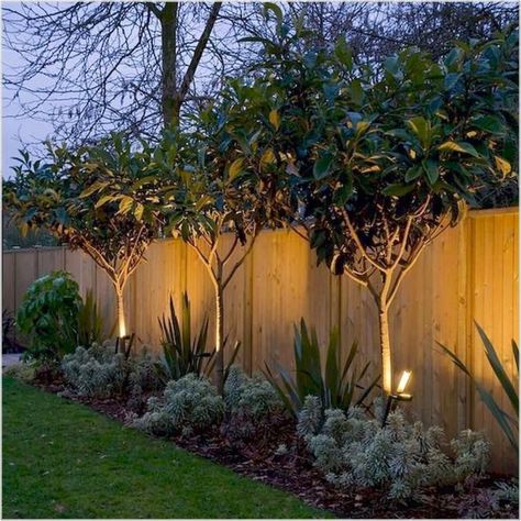 Backyard Privacy Fence, Privacy Fence Landscaping, Fence Design Ideas, Privacy Fence Designs, Privacy Landscaping, Cheap Backyard, Backyard Privacy, Fence Landscaping, Backyard Lighting