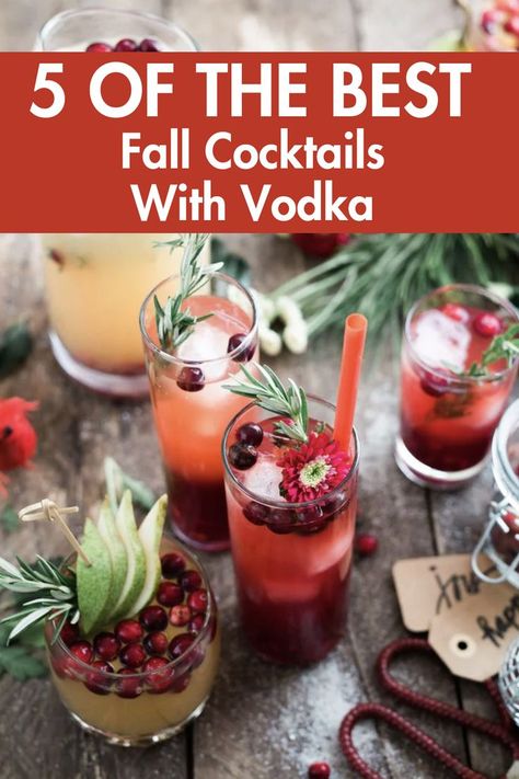 These are simply the best fall cocktails with vodka I have ever tried! They are so simple and delicious you will love every single recipe. Fall Cocktails Vodka, Vodka Cranberry Cocktail, Best Vodka Cocktails, Cocktails With Vodka, Autumn Cocktail, Cocktails Made With Vodka, Fall Cocktail Recipes, Vodka Cocktails Easy, Holiday Cocktail Recipes