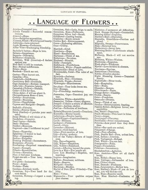 Victorian Language Of Flowers, Easy Garden Ideas, Tattoo Garden, Garden Nails, Flower Language, Garden Tattoo, The Language Of Flowers, Writing Prompts For Writers, Creative Writing Tips