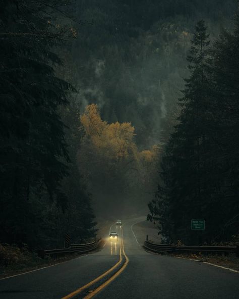 Folk Scenery on Instagram: “💚 Which one is your favorite? Photo by @jscottish #folkscenery Follow us @folkscenery for more!” Oregon Aesthetic, Green Witch Aesthetic, Pictures Of Beautiful Places, Dark Naturalism, Rainy Day Aesthetic, Nostalgia Aesthetic, Scenic Wallpaper, Forest Road, Get Outdoors