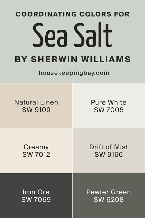 Sea Salt SW 6204 by Sherwin Williams Coordinating Colors Pewter Green Sw, Sherwin Williams Coordinating Colors, Drift Of Mist, Sea Salt Paint, Paint Color Combos, Sea Salt Sherwin Williams, Barn Renovation, House Color Palettes, Interior Wall Paint