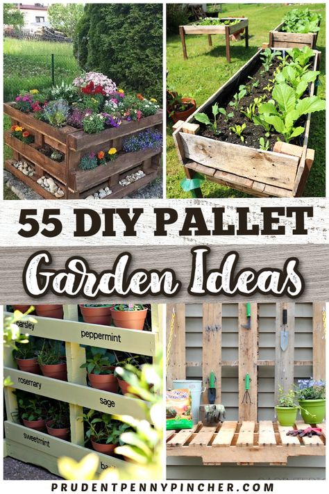 Make a garden on a budget with these pallet garden ideas. From DIY pallet outdoor planter ideas to pallet garden beds, there are plenty of wood pallet projects for the garden to choose from that will give your garden design a makeover on a budget. These pallet garden projects can be used for flowers, herbs, vegetables and more! Ideas Using Pallets, Pallet Garden Ideas Diy, Garden Ideas Using Pallets, Pallet Garden Ideas, Pallet Planter Box, Herb Garden Pallet, Diy Planters Outdoor, Pallet Projects Garden, Diy Wood Pallet Projects