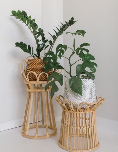 The Solis stand is a bohemian dream! Arched rattan detailing gives your plants the spotlight they deserve in any space. Need something a bit smaller? Viridi just launched the Stella stand — its little sister! | Photographer: Rachelle Tavas Cane Plant Stand, Boho Potted Plants, Plant Stand Monstera, Diy Boho Plant Stand, Monstera Plant Stand, Zz Plant Decor, Boho Plant Pots, Boho Planters, Boho Plant Stand