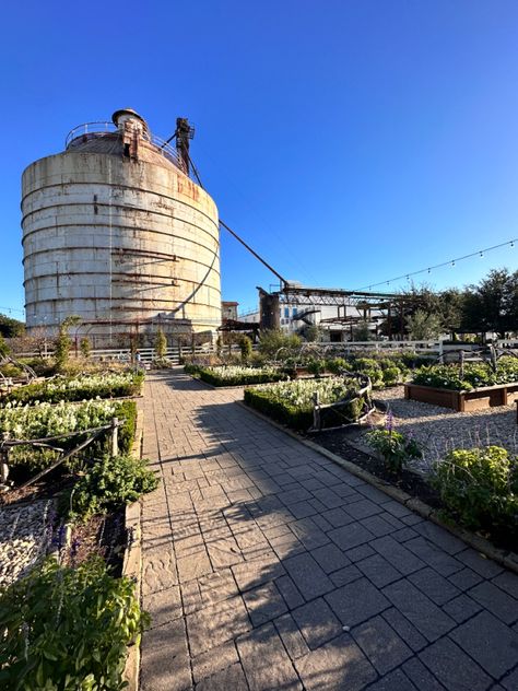 waco texas Sunken Garden, Waco Texas, Senior Trip, Texas, Vision Board