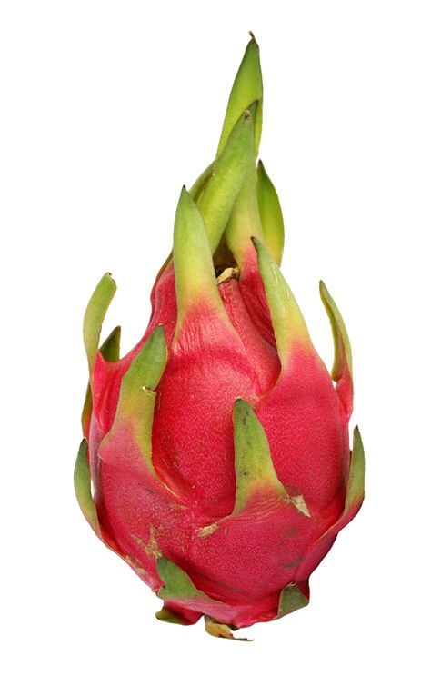 Fruit Reference Photos For Artists, Dragon Fruit Painting, Fruit Drawing Reference, Fruit Reference Photo, Food Reference Photos, Dragon Fruit Aesthetic, Fruit Cross Section, Dragon Fruit Drawing, Fruit References