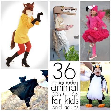 28 homemade animal costumes for kids and 8 DIY animal costumes for adults! Scary Animal Costumes, Diy Toddler Animal Costume, Family Animal Costumes, Diy Zoo Animal Costume, Animal Dress Up Day At School, Diy Farm Animal Costumes, Zoo Animal Costumes Women, Easy Animal Costumes, Animal Costumes For Boys