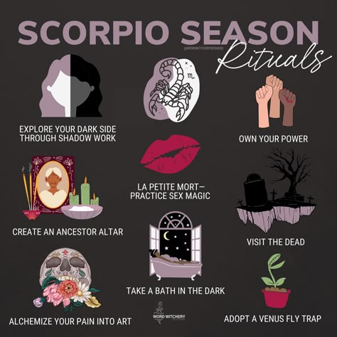 Scorpio Season Rituals, Scorpio Season Aesthetic, Scorpio Magic, Scorpio Witch, Scorpio Pluto, Zodiac Mind Scorpio, Scorpio Fashion, Scorpio Szn, Scorpio Energy