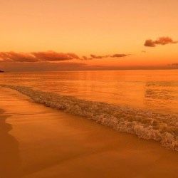 Orange Aesthetic Pics, Orange Hour Aesthetic, Amber Core Aesthetics, Amber Color Aesthetic, Orange Asthetics Photos, Sun Vibes Aesthetic, Soft Golden Hour Aesthetic, Orange Nature Aesthetic, Orange And Brown Aesthetic