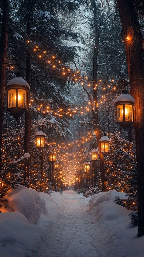 Cozy Winter Aesthetic Christmas, Enchanted Magical Forest, Christmas Tree Warm Lights, Christmas Forest Wallpaper, Christmas Light Festival, Ethereal Christmas Aesthetic, Winter Lights Aesthetic, Winter Forest Decorations, Christmas Magic Aesthetic