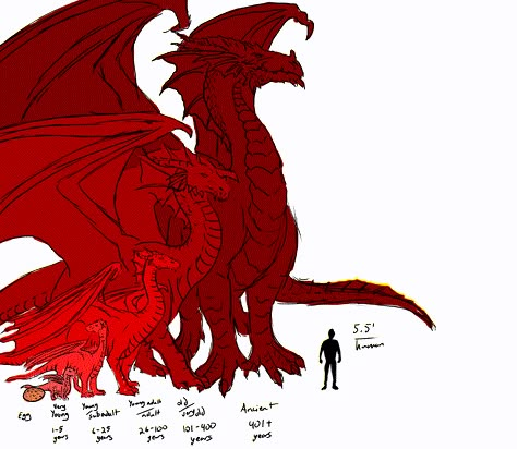 Dragon Sizes by Age compared to Human | d20 Pub Dragon Size Chart, Dnd Red Dragon, Dragon Drawing Tutorial, Dnd Red, Warrior Witch, Dragon Reference, Dragon Base, Mythical Monsters, Wings Of Fire Dragons