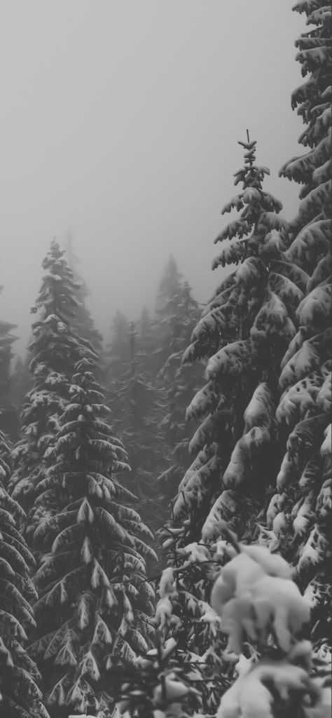 Winter Horror Aesthetic, Gray Winter Aesthetic, Snowy Background Aesthetic, Snowy Wallpaper Iphone, Cold Wallpaper Aesthetic, Dark Winter Aesthetic Wallpaper, Snow Forest Wallpaper, Winter Wallpapers Aesthetic Iphone, Snow Phone Wallpaper