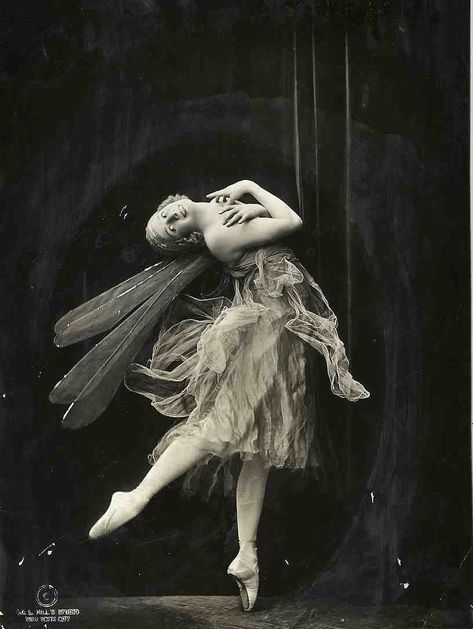 Anna Pavlova as ‘Dragonfly’  1914 Woods Dark, Nouveau Aesthetic, Dancer In The Dark, 1920 Art, Artist Of The Week, Belly Dancing Classes, Ballet Russe, Martha Graham, Vintage Ballerina