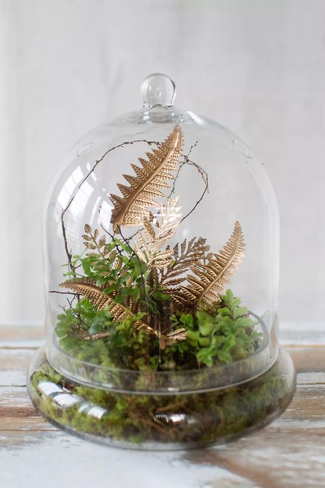 Garden cloche