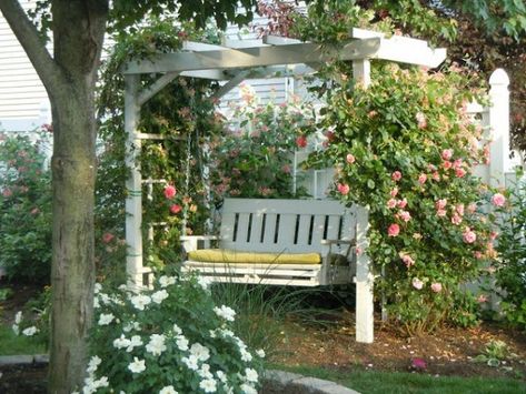 Pergola Swing, Outdoor Sitting Area, Garden Arbor, Garden Wallpaper, Garden Swing, Pergola Plans, Diy Pergola, Pergola Designs, Garden Structures