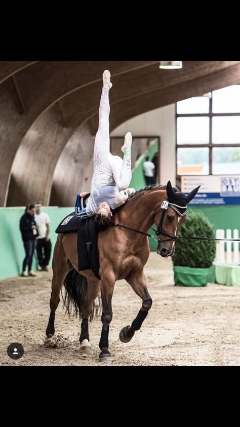 Equestrian Vaulting Moves, Horse Gymnastics, Vaulting Horses, Equestrian Vaulting, Vaulting Equestrian, Horse Vaulting, English Horses, Flying Without Wings, Riding Aesthetic