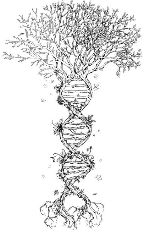 DNA Strand: anatomy and nature Spine. Random Woman, Dna Tree, Science Tattoo, Dna Tattoo, Family Tree Tattoo, Tree Tattoo Designs, Septum Piercings, Geniale Tattoos, Tree Of Life Tattoo