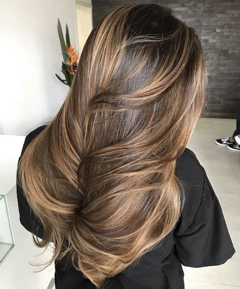 Blonde Hights With Brown Hair, Honey Highlights Brown Hair, Honey Brown Balayage On Black Hair, Light Brown Hair With Dark Highlights, Sunkissed Highlights Brown Hair, Brown Sugar Brunette, Brown Sugar Hair, Sunkissed Hair Brunette, Sunkissed Hair