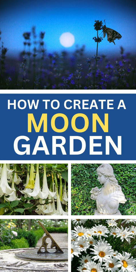 How to Create a Moonlight Garden | Montana Happy Moon Gardens At Night, Flower Garden Against House, Practical Magic Garden Layout, Zen Outdoor Garden, Themed Garden Ideas, Witchy Garden Design, Moon Garden Ideas Backyards, Witches Garden Design, Woodland Garden Design Layout