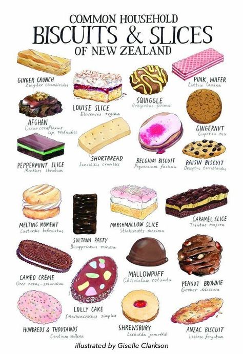 Tan Slice – Brookford Kitchen Diaries Peppermint Slice, Dessert Names, New Zealand Food, Food Infographic, Ginger Nut, British Baking, Think Food, Food Illustrations, High Tea