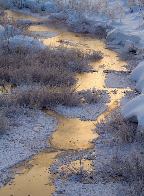 수채화 그림, Winter Scenery, Winter Beauty, Snow Scenes, Pics Art, Winter Landscape, Winter Scenes, Landscape Photos, 그림 그리기