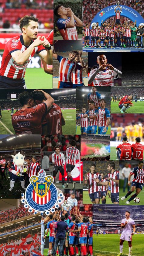 Alan Mozo, Chivas Wallpaper, Chivas Soccer, 21st Birthday Photoshoot, Paz Mental, Soccer Funny, Soccer Fans, + Core + Aesthetic, Birthday Photoshoot